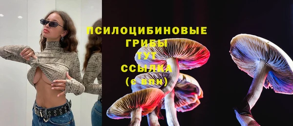прущая мука Вязьма