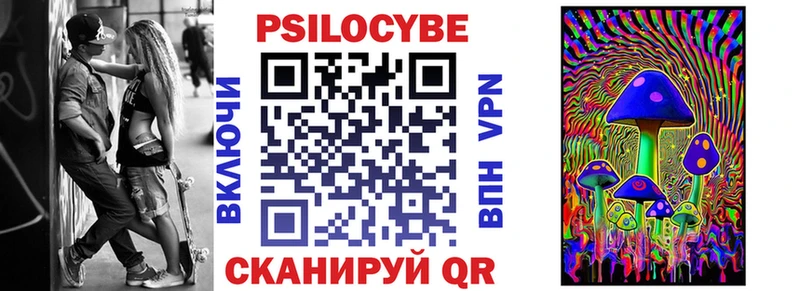 mega сайт  продажа наркотиков  Звенигово  Псилоцибиновые грибы Cubensis 